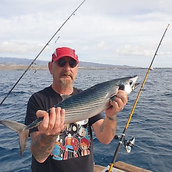 Ben fatto Cavalier & Blue Marlin Sport Fishing Gran Canaria