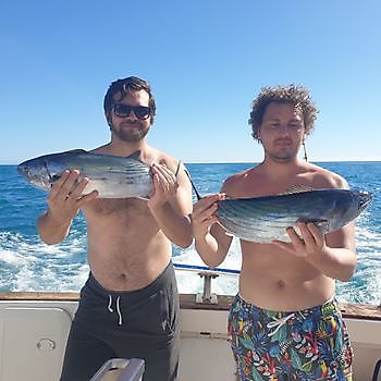 Snyggt fångat Cavalier & Blue Marlin Sport Fishing Gran Canaria
