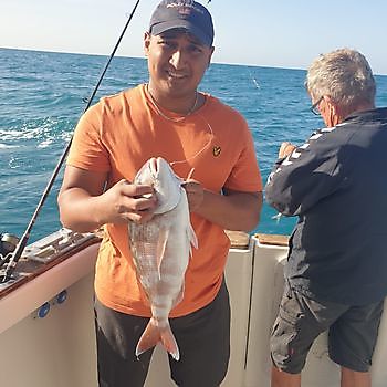 Dentice rosso Cavalier & Blue Marlin Sport Fishing Gran Canaria