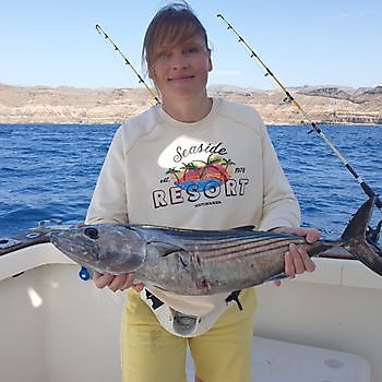 Bonito del Nord Atlantico Cavalier & Blue Marlin Sport Fishing Gran Canaria