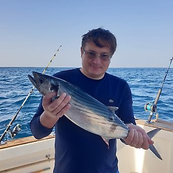 Molto bene Cavalier & Blue Marlin Sport Fishing Gran Canaria