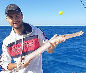 Trompetter Cavalier & Blue Marlin Sport Fishing Gran Canaria