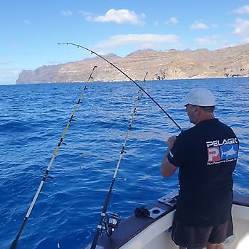 https://www.bluemarlin3.com/de/hook-up Cavalier & Blue Marlin Sportfischen Gran Canaria