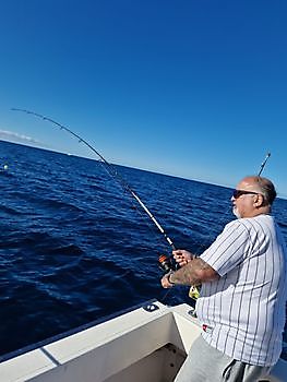 https://www.bluemarlin3.com/de/hook-up Cavalier & Blue Marlin Sportfischen Gran Canaria