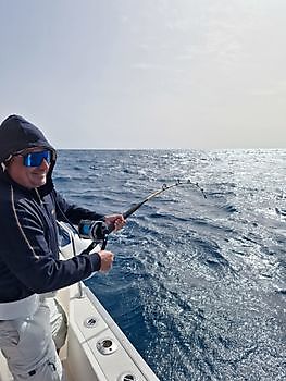 https://www.bluemarlin3.com/fr/hook-up Cavalier & Blue Marlin Sport Fishing Gran Canaria