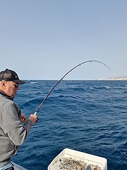 https://www.bluemarlin3.com/es/hook-up Pesca Deportiva Cavalier & Blue Marlin Gran Canaria
