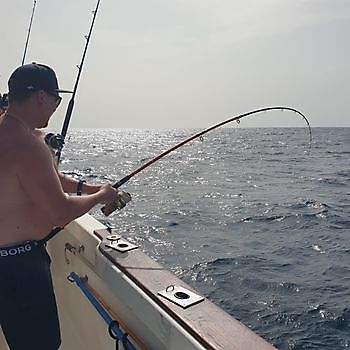 https://www.bluemarlin3.com/it/hook-up Cavalier & Blue Marlin Pesca sportiva Gran Canaria