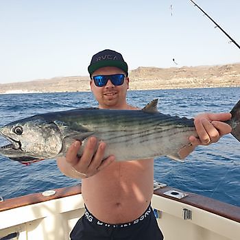 https://www.bluemarlin3.com/sv/nordatlantiska-bonito Cavalier & Blue Marlin Sport Fishing Gran Canaria