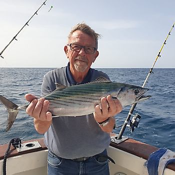 https://www.bluemarlin3.com/nl/noord-atlantische-bonito Cavalier & Blue Marlin Sport Fishing Gran Canaria