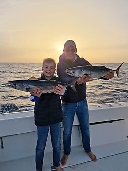 https://www.bluemarlin3.com/de/nordatlantischer-bonito Cavalier & Blue Marlin Sportfischen Gran Canaria