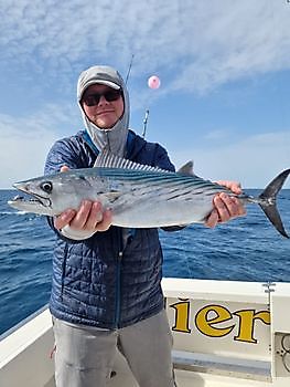 Nice Atlantic Bonito caught by Markus Schwarz Cavalier & Blue Marlin Sport Fishing Gran Canaria
