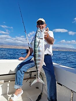 https://www.bluemarlin3.com/es/bonito-del-atlantico-norte Pesca Deportiva Cavalier & Blue Marlin Gran Canaria