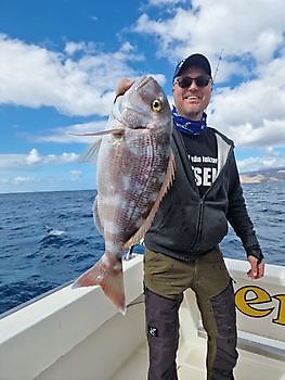 https://www.bluemarlin3.com/fr/vivaneau Cavalier & Blue Marlin Sport Fishing Gran Canaria