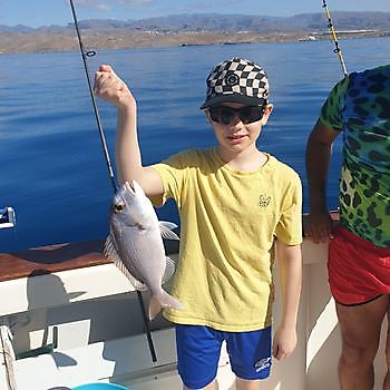 Goed gedaan jongen Cavalier & Blue Marlin Sport Fishing Gran Canaria