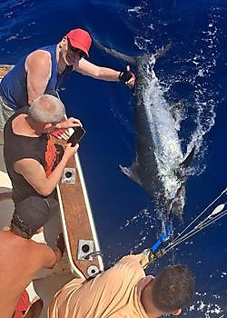 Blauer Marlin Cavalier & Blue Marlin Sport Fishing Gran Canaria