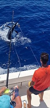 Marlín azul Cavalier & Blue Marlin Sport Fishing Gran Canaria