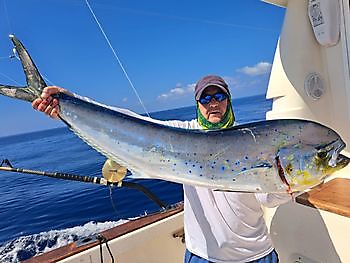 Dorado gevangen door Paul Moorcock Cavalier & Blue Marlin Sport Fishing Gran Canaria