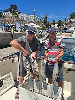 Skipjack tonijn Cavalier & Blue Marlin Sport Fishing Gran Canaria
