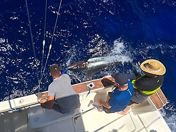 400 lb Blue Marlin Cavalier & Blue Marlin Sport Fishing Gran Canaria