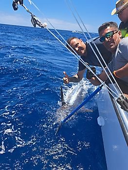 Blauwe Marlijn van 400 pond Cavalier & Blue Marlin Sport Fishing Gran Canaria