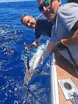 400 lb Blue Marlin Cavalier & Blue Marlin Sport Fishing Gran Canaria