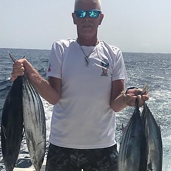 Skipjack tuna8 Cavalier & Blue Marlin Sport Fishing Gran Canaria