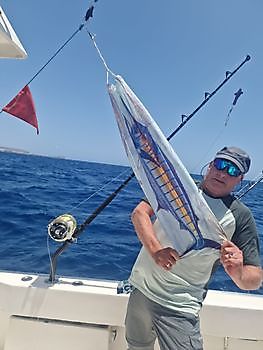 Released 550 lbs Blue Marlin Cavalier & Blue Marlin Sport Fishing Gran Canaria