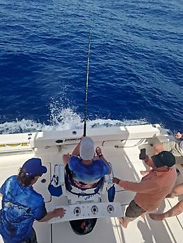 Boot Cavalier Cavalier & Blue Marlin Sport Fishing Gran Canaria