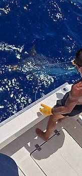 Blue Marlin 200lbs, released on the boat Cavalier Cavalier & Blue Marlin Sport Fishing Gran Canaria