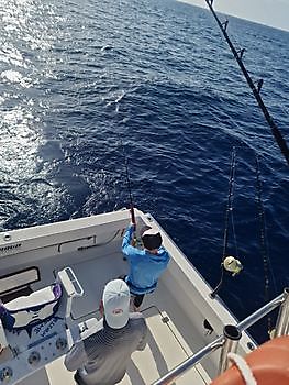 Cavalier ving meer dan 700 lbs blauwe marlijn. Cavalier & Blue Marlin Sport Fishing Gran Canaria