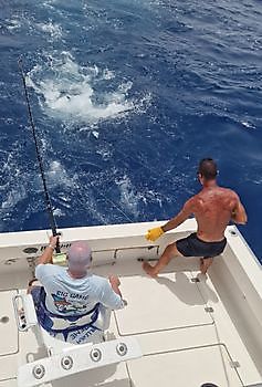 Blauwe Marlijn gereleased door Cavalier Cavalier & Blue Marlin Sport Fishing Gran Canaria