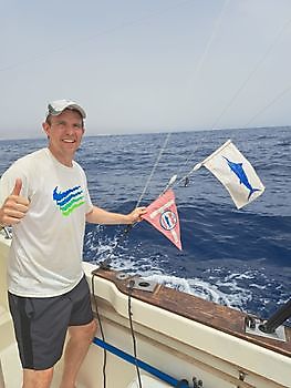 280 kg Blue Marlin released by Euan Miller Cavalier & Blue Marlin Sport Fishing Gran Canaria