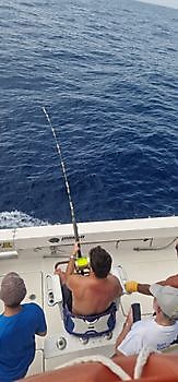 140 kg Blauwe Marlijn gereleased door Patrick Siebert uit Duitsland Cavalier & Blue Marlin Sport Fishing Gran Canaria