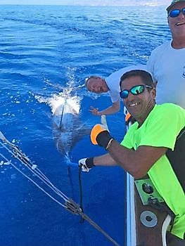 10/9  2 Blue Marlins released today!!! Cavalier & Blue Marlin Sport Fishing Gran Canaria