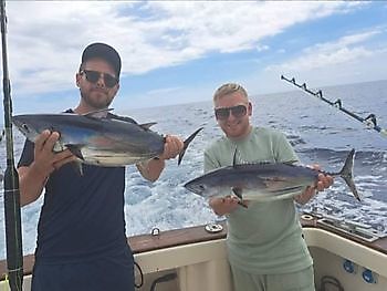11/9 Skipjack tuna!! Cavalier & Blue Marlin Sport Fishing Gran Canaria