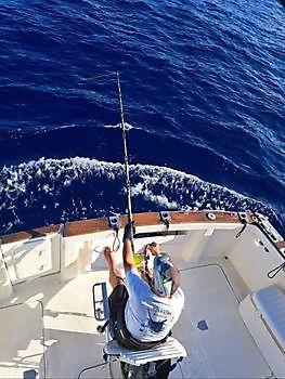 13/9 - we keep on counting! Cavalier & Blue Marlin Sport Fishing Gran Canaria