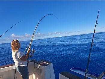 23/9 - Blue Marlin & Barakudas!! Cavalier & Blue Marlin Sport Fishing Gran Canaria