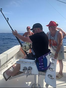 30/9 - Cavalier released a blue marlin!! Cavalier & Blue Marlin Sport Fishing Gran Canaria