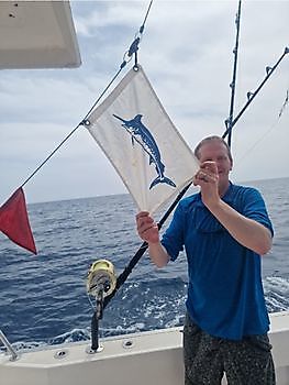 04/10- Cavalier released 600lbs blue marlin today!! Cavalier & Blue Marlin Sport Fishing Gran Canaria
