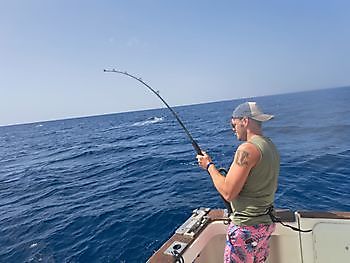10/10 - Blue marlin 500lbs- baracuda- bream-fish Cavalier & Blue Marlin Sport Fishing Gran Canaria