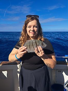 6/11- Red Snapper- Atlantic bonito- Barracudas Cavalier & Blue Marlin Sport Fishing Gran Canaria