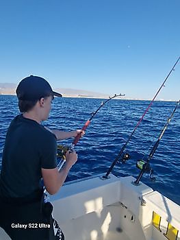 17/11 - Dorado fish - Atlantic bonito - Barracudas Cavalier & Blue Marlin Sport Fishing Gran Canaria
