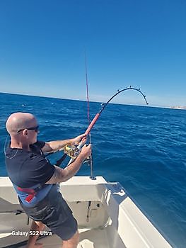 20/11 barracuda's & Atlantic bonito's Cavalier & Blue Marlin Sport Fishing Gran Canaria