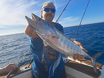 20/11 barracuda's & Atlantic bonito's Cavalier & Blue Marlin Sport Fishing Gran Canaria