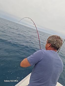 21/11 - barracudas & Atlantic bonitos Cavalier & Blue Marlin Sport Fishing Gran Canaria