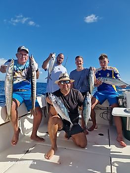 25/11 - Barracudas & Atlantic bonitos Cavalier & Blue Marlin Sport Fishing Gran Canaria