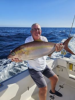 08/12 - Sériole !! Cavalier & Blue Marlin Sport Fishing Gran Canaria