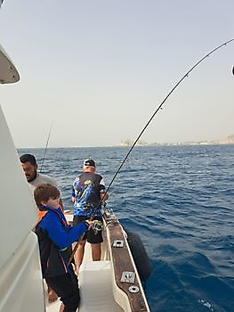 13/12 - barracudas, Atlantic bonitos, garfish,congereel Cavalier & Blue Marlin Sport Fishing Gran Canaria