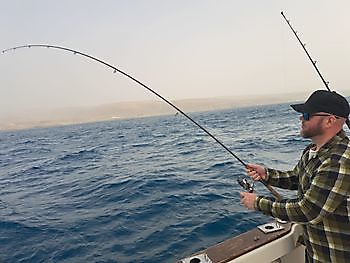 13/12 - barracudas, Atlantic bonitos, garfish,congereel Cavalier & Blue Marlin Sport Fishing Gran Canaria