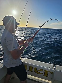 18/12 - BARRACUDAS- ATLANTIC BONITOS- BREAM-FISH Cavalier & Blue Marlin Sport Fishing Gran Canaria